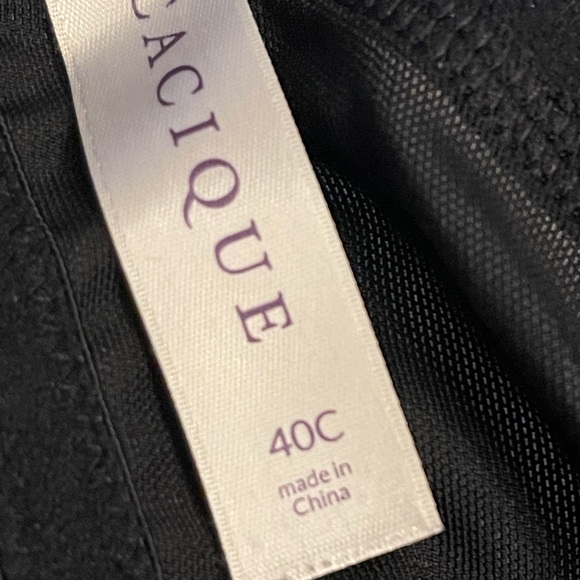 EUC Lane Bryant Cacique Bra 40C - Picture 3 of 4